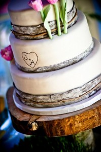 Nature inspired tree cake
